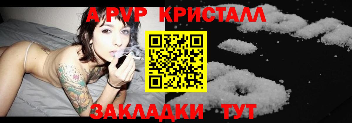 Альфа ПВП СК КРИС Малгобек