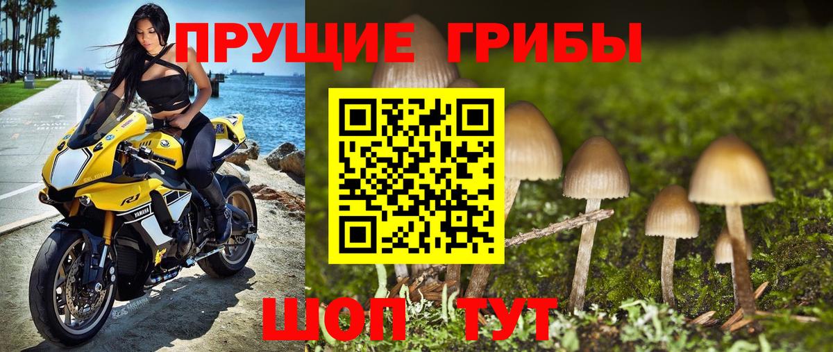 Малгобек  Псилоцибиновые грибы Cubensis  Вход с VPN  Галлюциногенные грибы мухоморы 