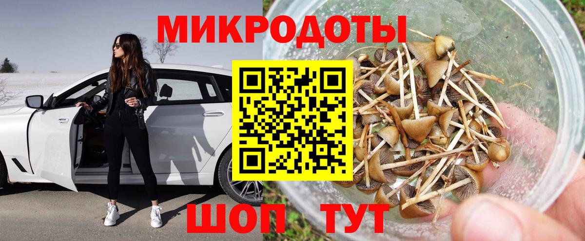 Галлюциногенные грибы Cubensis Малгобек